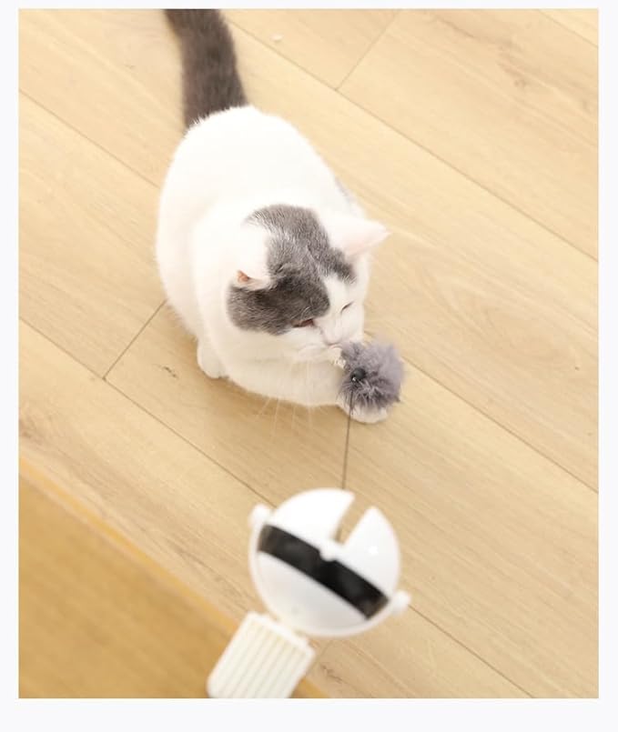Interactive Cat Toy Ball - Smart Cat Teaser Ball - Rolling for Cats - Smart Pet - Indoor Pets Moving - New Pets Toys - Yoyo