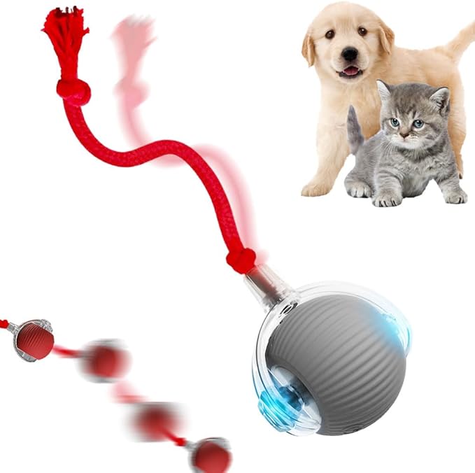 Interactive Cat Ball Toy, Interactive Pet Toys, Intelligent Rolling Kitten Ball Toys, Indoor Adult Cats Toys, Indoor Pet Cat Balls, Automatic Toys with Cord Imitation Mouse (Gray)