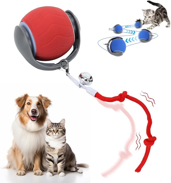 Interactive Cat Toys for Indoor Cats, 2026 Interactive Fast Moving Toys Balls, 360° Automatic Rolling Electric Ball Toy with Rope for Dogs and Cat Indoor Play (Blue)