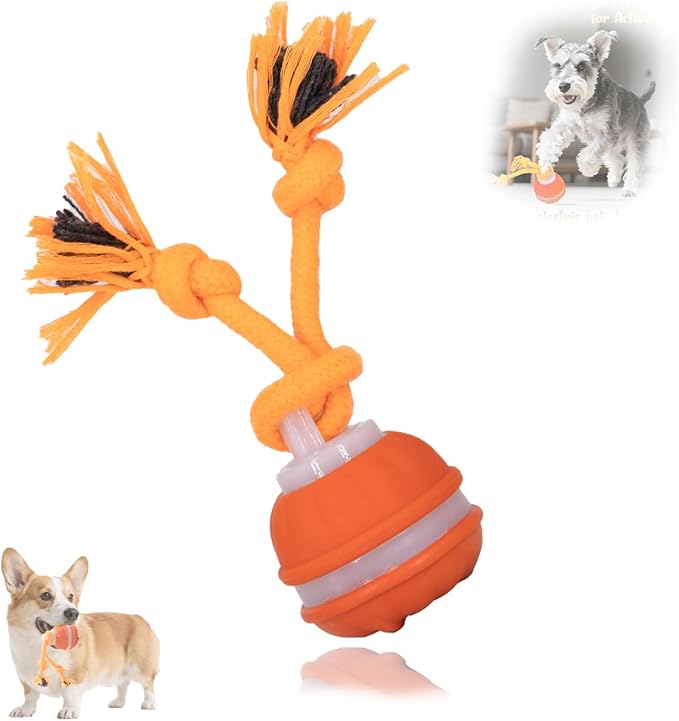 KumCinn Power Tail 2.0 Automatic Moving Dog Ball - Interactive Dog Toy | Self-Rolling, Motion Activated Electric Pet Ball to Keep Dogs Busy & Relieve Boredom (Suitable for All Dog Breeds)
