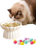 Ceramic Raised Cat Slow Feeder Bowls Whisker Friendly Anti Vomiting Cat Slow Eating Food Bowl for Cats Puppy Dogs Neck Support Plates (White)