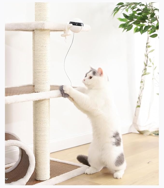 Interactive Cat Toy Ball - Smart Cat Teaser Ball - Rolling for Cats - Smart Pet - Indoor Pets Moving - New Pets Toys - Yoyo