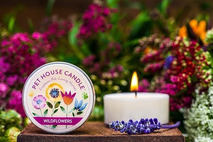 Pet House Mini Candles for Pet Odor Made with Natural Soy Wax, Plant Based, Dog and Cat Friendly Scented, Wild Blueberries Pack of 3