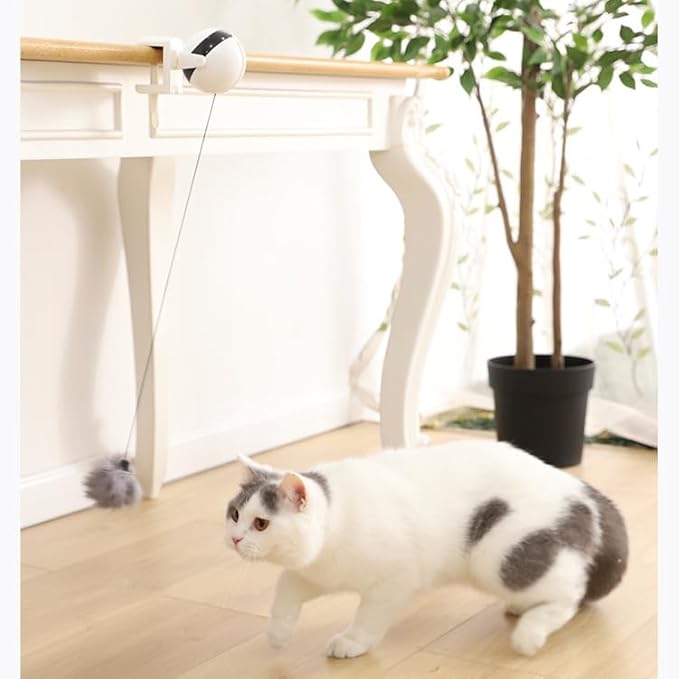 Interactive Cat Toy Ball - Smart Cat Teaser Ball - Rolling for Cats - Smart Pet - Indoor Pets Moving - New Pets Toys - Yoyo