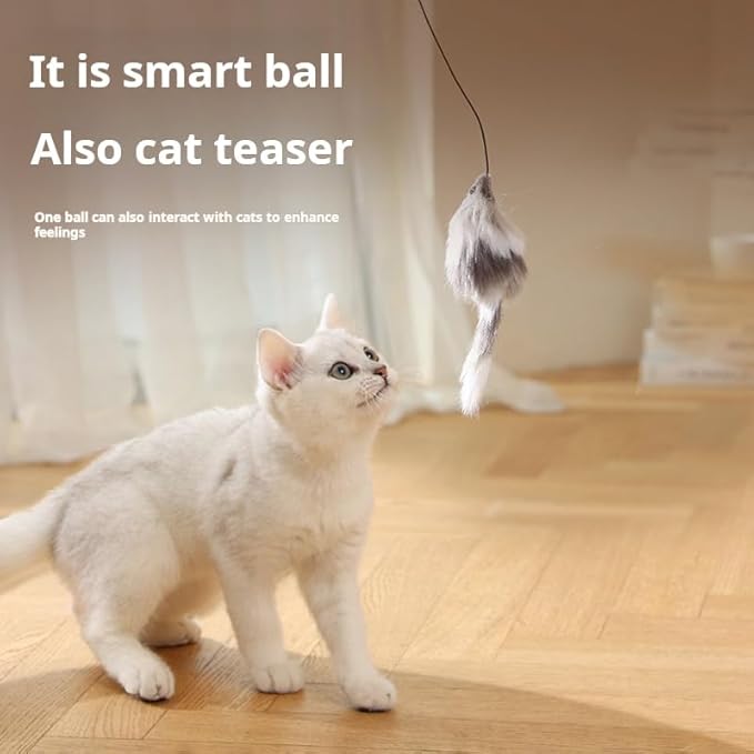 Interactive Cat Ball Toy, Automatic Rolling Motion with Feather Teaser, Self-Moving for Indoor Cats, Bluish Orange