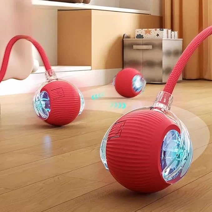 Cat Smart Rolling Ball [RED], LED Lights, Indoors for Active Cats - Rechargeable, Automatic, Speedy Tail/Rope