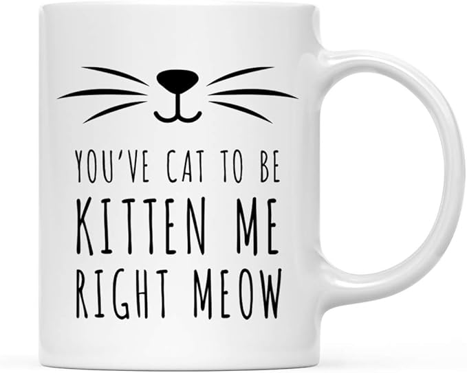 Andaz Press Funny Cat Lover 11oz. Ceramic Coffee Tea Mug, You've Cat To Be Kitten Me Right Meow, 1-Pack, for Cat Mom, Birthday Christmas Ideas, Includes Box