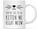Andaz Press Funny Cat Lover 11oz. Ceramic Coffee Tea Mug, You've Cat To Be Kitten Me Right Meow, 1-Pack, for Cat Mom, Birthday Christmas Ideas, Includes Box