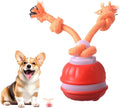 Interactive Dog Toys, Smart Touch-Activated Automatic Rolling Bouncing Ball, USB Rechargeable, Suitable for Cats & Small to Medium Puppies (Orange)