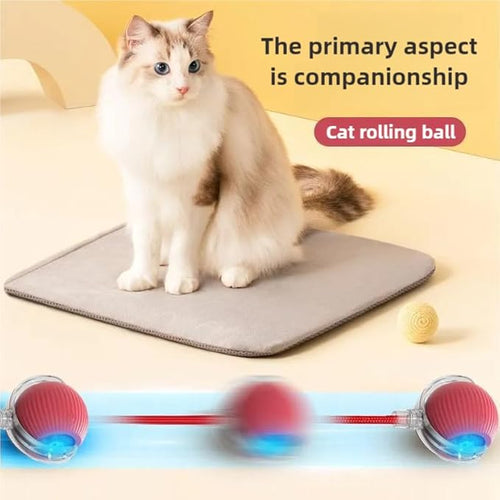 2pcs Innovative Interactive Cat Toy Balls, Automatic Moving Spheres for Engaging Indoor Cats (Green+Red)