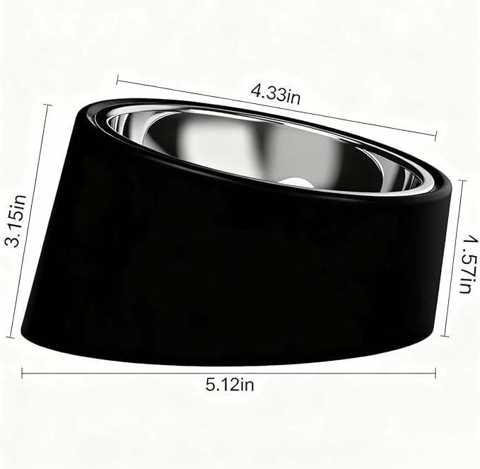 15° Tilted Slow Feeder- Non-Spill & Non-Slip Stainless Steel Dish for Small & Cats - Detachable 160ml Elevated Black (Size S)