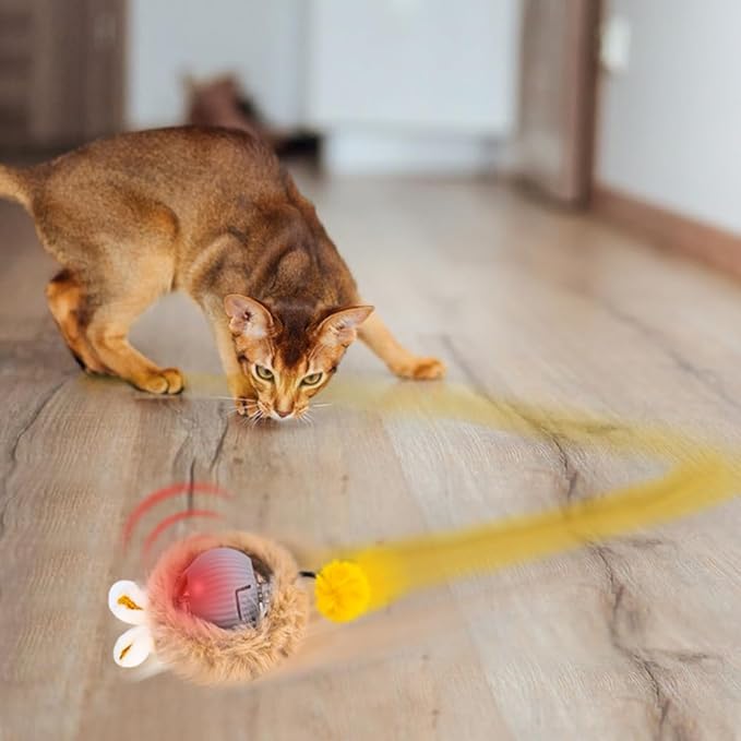 AWOOF Interactive Cat Toys for Indoor Cats,Automatic Motion Activated Moving Ball Hide and Seek Game,Cat Hunting Toy Exercise Kicker for Indoor Kitten