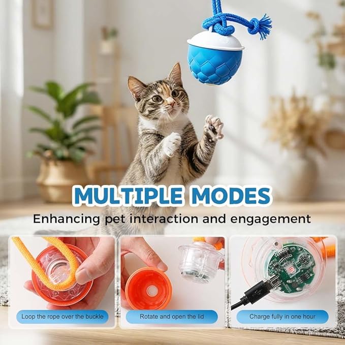 Interactive Dog Toys - 2026 Upgraded Motion Activated Automatic Rolling Ball Toys for Small/Medium/Large Dogs Balls for Boredom to Keep Them Busy with USB Rechargeable (Orange 2Pc)