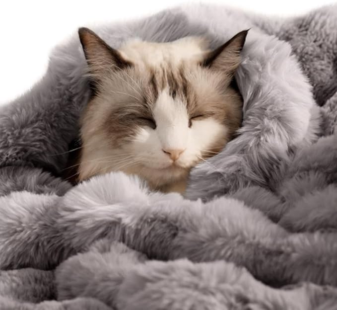 SOMAHE Self-Warming Cat Blanket for Indoor Cats & Small Dogs, Dual-Side Sherpa Plush Throw, Anti-Static Shared Couch Mat for Crate & Travel, Machine Washable No Shrink, 28x22 Inch Gray