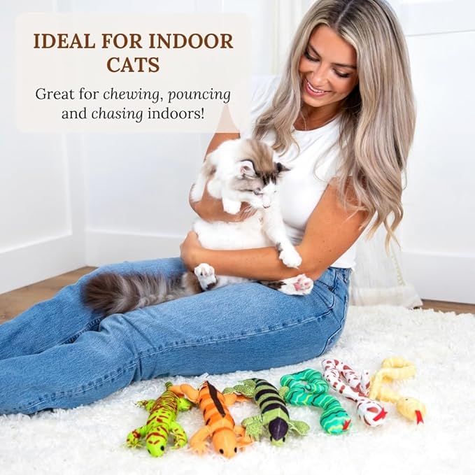 Interactive cat Toys