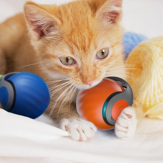 Interactive Cat Toys Ball, 2026 New Automatic Moving Balls for Cat Small Dog Touch Motion, Self Rolling Cat Toy Ball Interactive Dog Toys for Indoor and Outdoor (Blue)