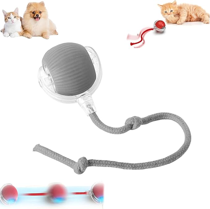 Interactive Pet Toy Ball, Interactive Cat Toys Ball for Indoor Cats Fast Rolling on Carpet, 360° Automatic Rolling BallToy for Dog/Cats