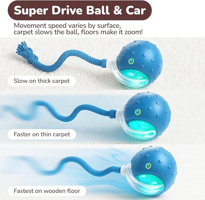 Interactive Cat Toy Ball for Indoor Cats – Fast Rolling on Carpet, Motion Activated with Chirping Sounds, Smart Play Toy (Blue)