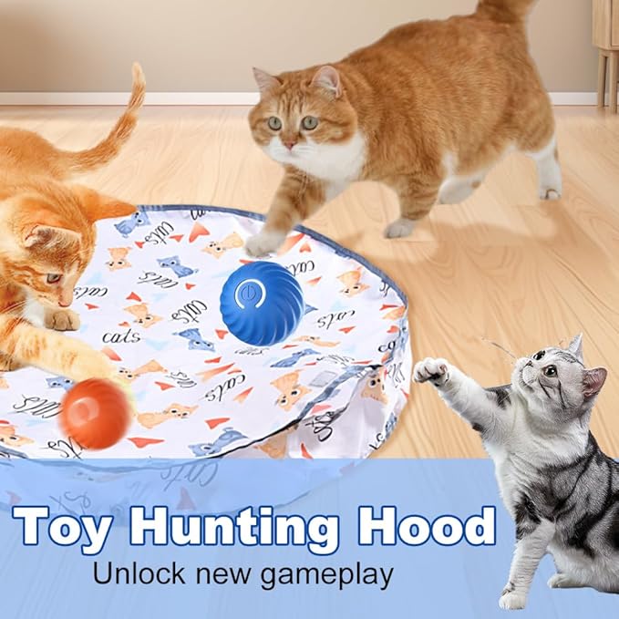 2025 New Interactive Cat Toys Ball Fast Rolling in Pouch, Hide and Seek Cats Toy, Automatic Kitten Toys Moving Ball, Rechargeable Cat Enrichment Toys for Bored Indoor Adult Cats (B)