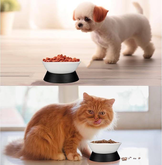 French Bulldog Food Bowl- Slanted Tilted Pug Food Water Bowl,Cat Bowl- Feeder for Frenchie/Shih Tzu/Flat Faced Small Dogs/Puppies/Cats (White（Ceramic）, 2 Cup)