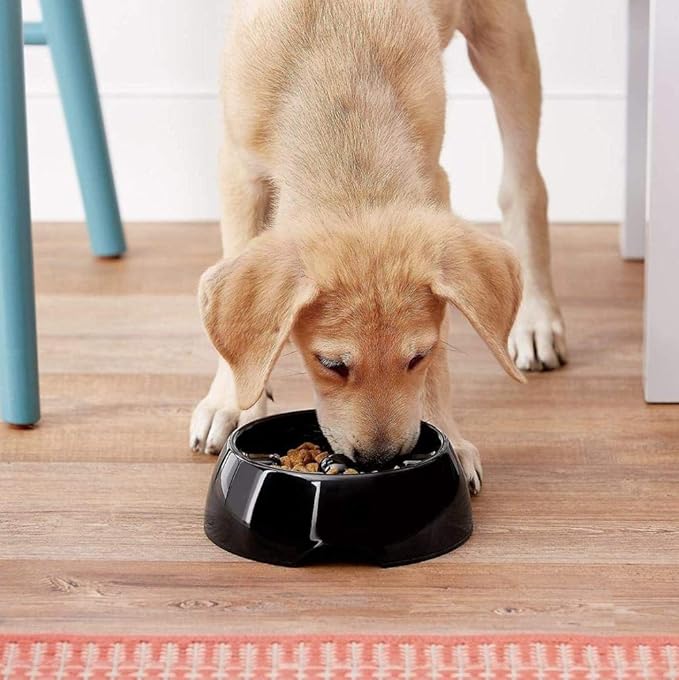 Dogit Go Slow Anti-Gulping Dog Bowl, Black, Medium