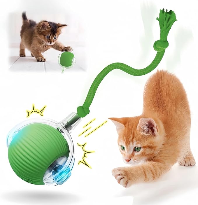Interactive Cat Toy Balls, Upgraded Cat Toys for Indoor Cats, Smart Self Rolling Interactive Cat Dog Ball, Automatic Moving Peppy Pet Ball for Bored Indoor Adult Cats Kitten Specification(Green)
