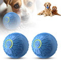 2Pcs Interactive Dog Toys Dog Balls, 2026 Upgrade Automatic Rolling Shaky Ball Toy, Automatic Rolling Ball Toys for Puppy Small Medium Dogs (Blue)