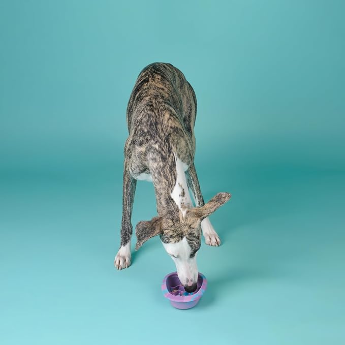 CHEWFFON Easter Dog & Cat Lick Mat Bowls, BPA-Free Silicone Slow Feeder Bowl with Suction Cups, Non Slip Pet Food Bowl Reduces Boredom and Anxiety, Dishwasher Safe, Cotton Candy Small