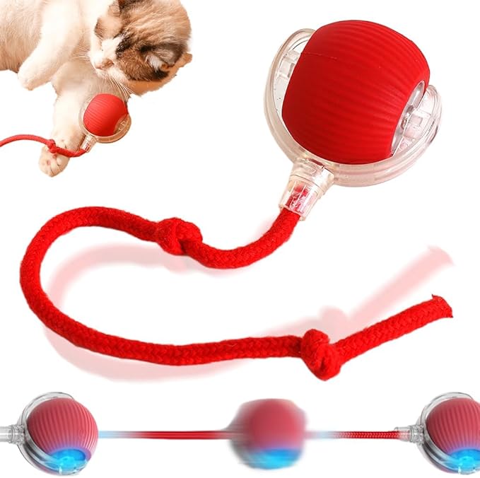 Interactive Rolling Dog Ball, 2024 New Self Dog Toys Interactive Cat Toys Automatic Cat Toy Self Moving Dog Toys, 360° Smart Automatic Rolling Ball Toy Electric Dog Balls for Dog/Cat (Red)