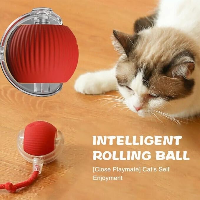 Dog Cat Toy Automatic Rolling Ball Smart Electric Pet Self-Moving Kitten Game US