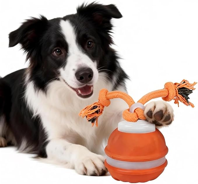 Interactive Smart Rolling Cat Toy Ball, Electric Automatic Moving Rolling Dog Toy with Rope and Sound, Motion Activated Dogs Ball, Self Moving Cats Toy for Boredom & Training (1, Sky Blue)