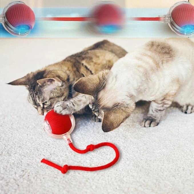 Dog Cat Toy Automatic Rolling Ball Smart Electric Pet Self-Moving Kitten Game US