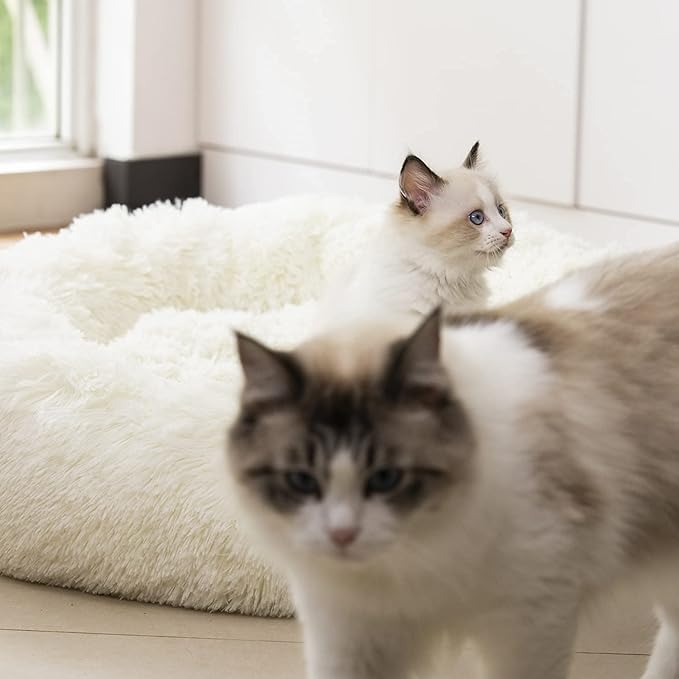 Anti Anxiety Round Fluffy Plush Faux Fur Warm Washable Dog Bed & Cat Bed, Original Bed for Small Medium Large Pets,Used to Relieve Joints and Improve Sleep（20"/24"/27''） (24", White)