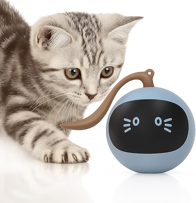 Smart Interactive Cat Ball Toy for Indoor Cats USB Rechargeable, Auto Rolling & Light-Up, Motion-Activated with Teaser Tail, Self-Play Exercise Toy