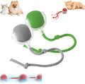 Interactive Pet Toy Ball, Interactive Cat Toys Ball for Indoor Cats Fast Rolling on Carpet, 360° Automatic Rolling BallToy for Dog/Cats