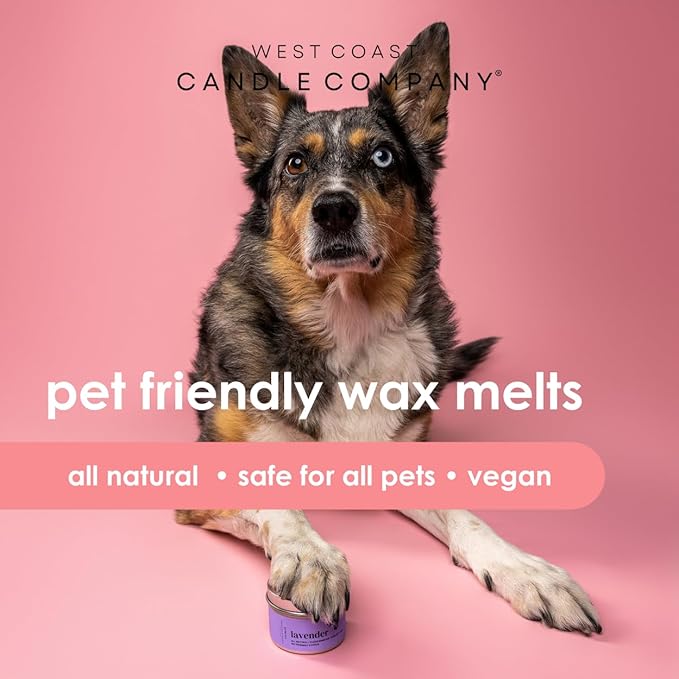 Lavender | Pet Safe Wax Melts | All Natural Soy | Non-Toxic | Dog Friendly | Vet Approved | Long Lasting Home Fragrance | Pet Odor Eliminator | Clean Burning Wax Cubes | Safe Air Freshener