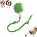 Smart Motion Pet Ball, Interactive Cat Toy for Indoor Cats, Automatic Moving, Two Speed