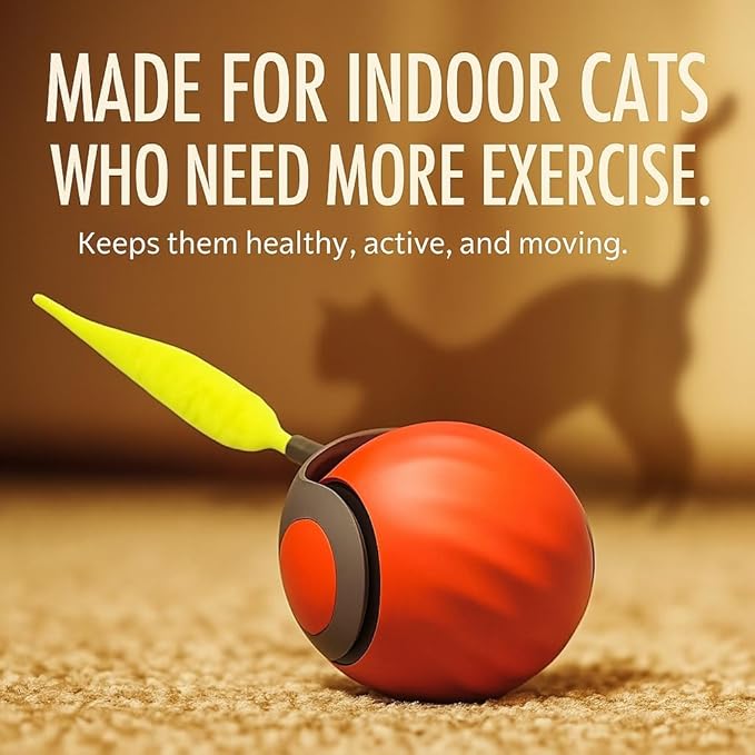 Pawvion Moving Ball Cat Toys with Feather Tail, Rechargeable 2025 New Interactive Toy for Indoor Cats Exercise, Smart Interactive Kitten Rolling Ball, Orange Color
