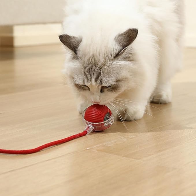 Interactive Rolling Cat Dog Ball Toy, Automatic Moving Cat Toys for Indoor Cats, Self-Rolling Interactive Pet Toys Ball for Kittens & Small Dogs