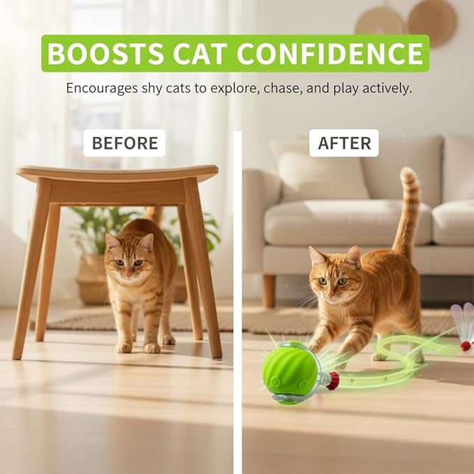 Cat Toys for Indoor Cats – Automatic Kitten Interactive Toy with Speedy Ball Tail as Pet Mental Stimulation - Kittens Small Dogs and Bored Adult Dog Balls to Keep Them Busy 2026 (Green Ball)