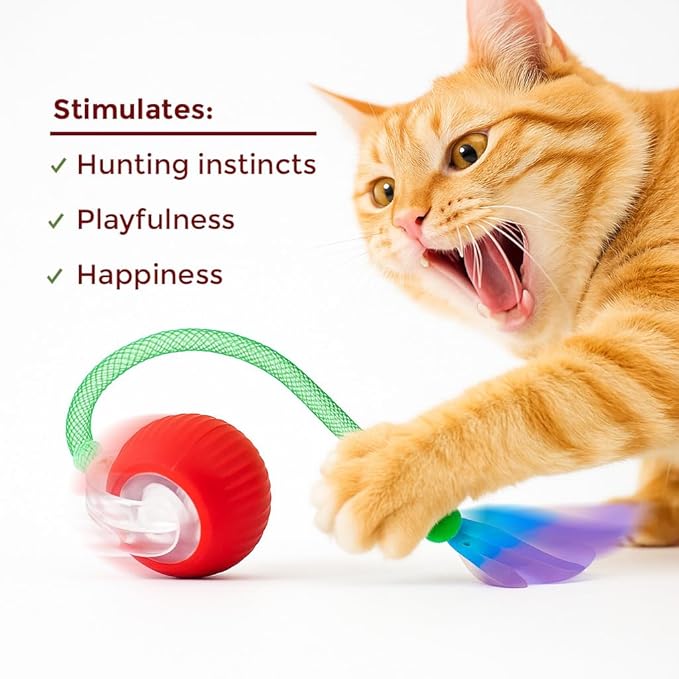 Cat Toys for Indoor Cats – 2X Automatic Kitten Interactive Toy with Speedy Ball Tail as Pet Mental Stimulation - Kittens Small Dogs and Bored Adult Dog Balls (2 Sets - Random Ball Color)