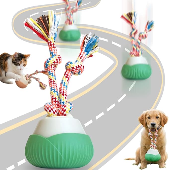 2026 New Interactive Dog Toys, Automatic Moving Interactive Cat Toy with 3 Speed Modes, USB Rechargeable Smart Motion Rolling Ball with Tail Rope, Indoor for Small Medium Large Dogs (Green)