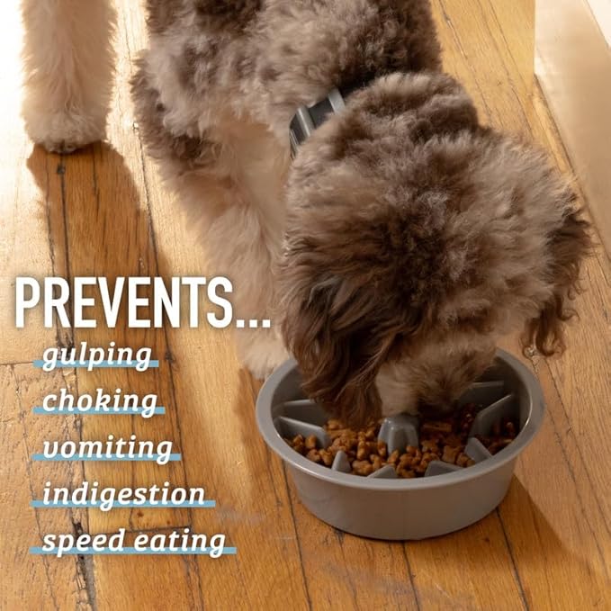 Leash Boss Slow Feeder Dog Bowl (2 Cup) - Puzzle Dog Food Bowl with Feeder Holes, Fits Elevated Pet Feeders, Slow Eating for Large, Medium & Small Sized Breeds - Blue