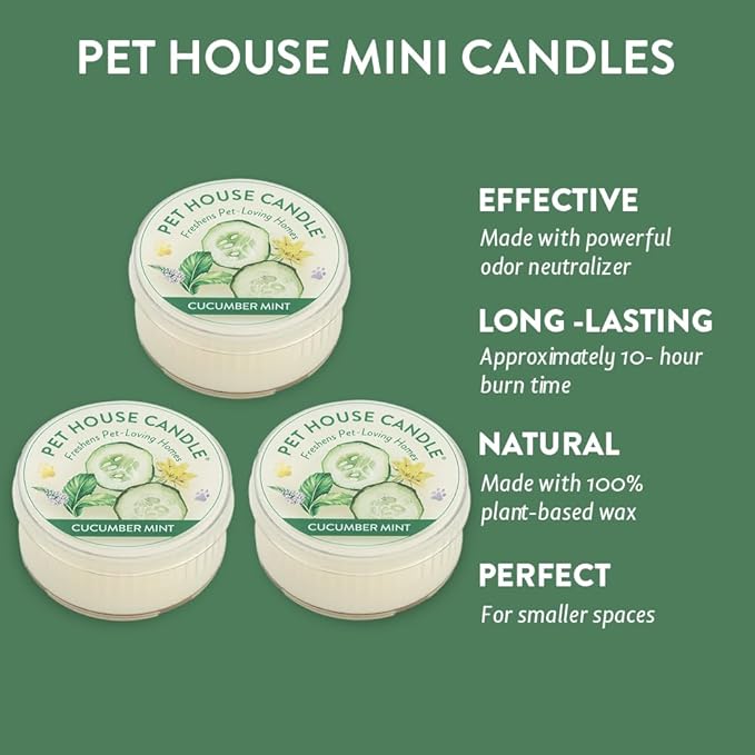 Pet House Mini Candles for Pet Odor Made with Natural Soy Wax, Plant Based, Dog and Cat Friendly Scented, Cucumber Mint Pack of 3