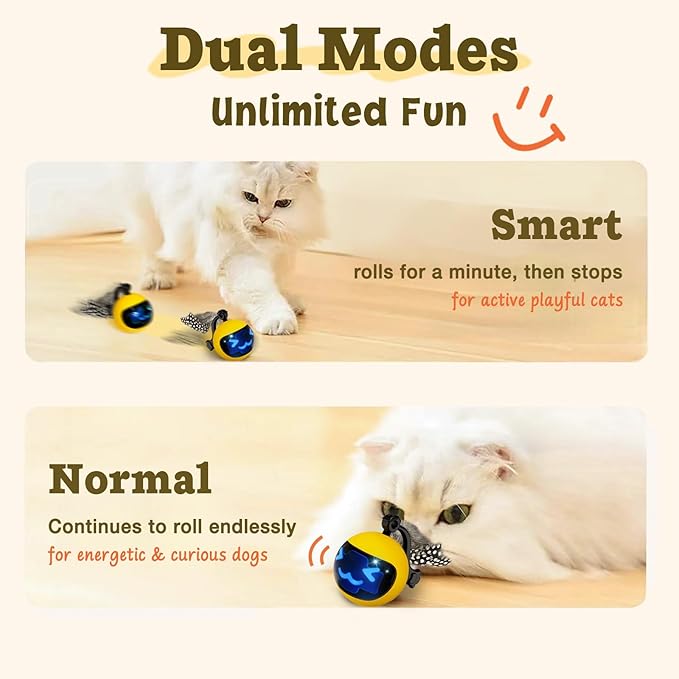 Moving Ball Cat Toys with Feather Tail, Rechargeable 2025 New Interactive Toy with Remote Control for Indoor Cats Exercise, Smart Interactive Kitten Rolling Ball