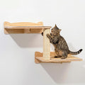 Cat Wall Shelves, 2-Tier Cat Shelves with Sisal Scratching Post, Sisal Mat Solid Pine Wood Wall Mounted Cat Climbing Furniture, Modular Design