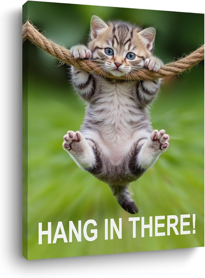 Hang in There Cat Canvas Wall Art, 11.4x15in Funny Motivational Cat Framed Art Paintings Wall Decor Unique Inspirational Gifts Animal Lover Prints Picture for Living Room Bathroom Farmhouse Decor