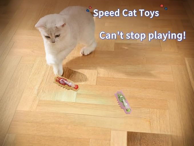 Bug Cat Toy Electric Interactive Cat Toy for Indoor Cats Moving Automatic Beetle Toy for Kitten Hunting Chasing Swatting Exercise 2Pcs