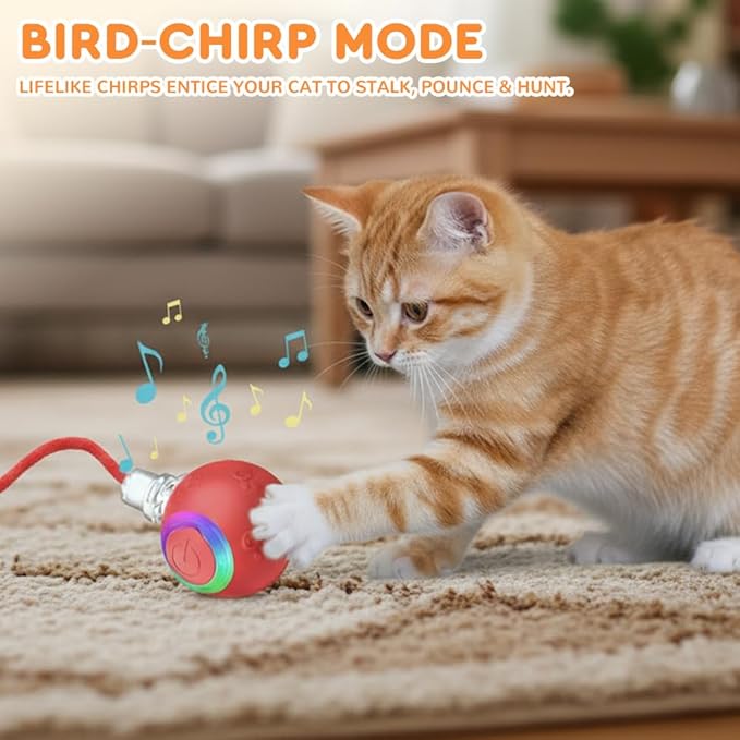 Interactive Cat Toys for Indoor Cats,Automatic Cat Ball Toy,Kitten Toy for Bored Indoor Adult Pets (Blue)