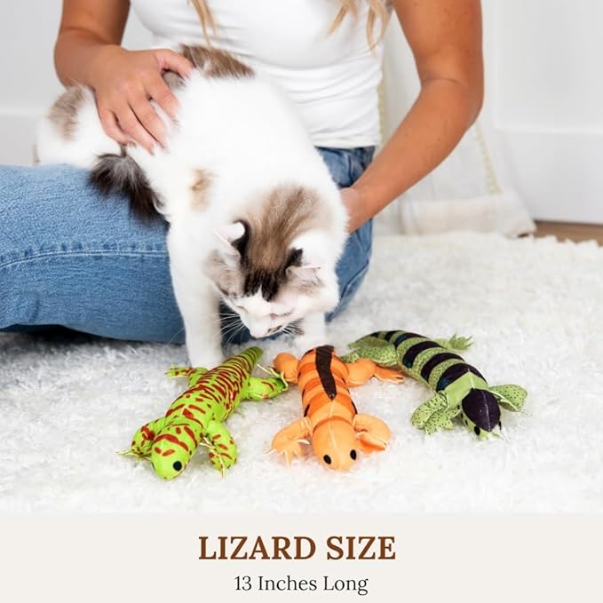 Interactive cat Toys
